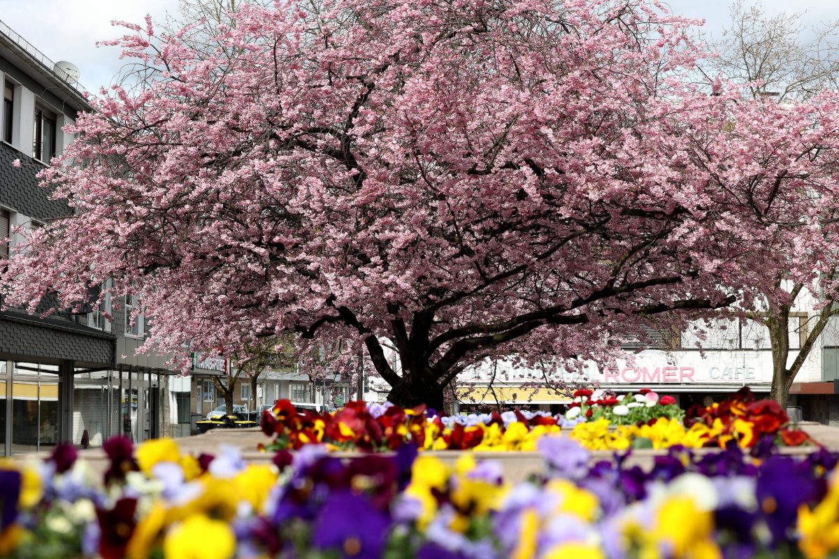 Wetter in NRW: FrÃ¼hlingsbeginn. Experte fÃ¤llt vernichtendes Urteil.