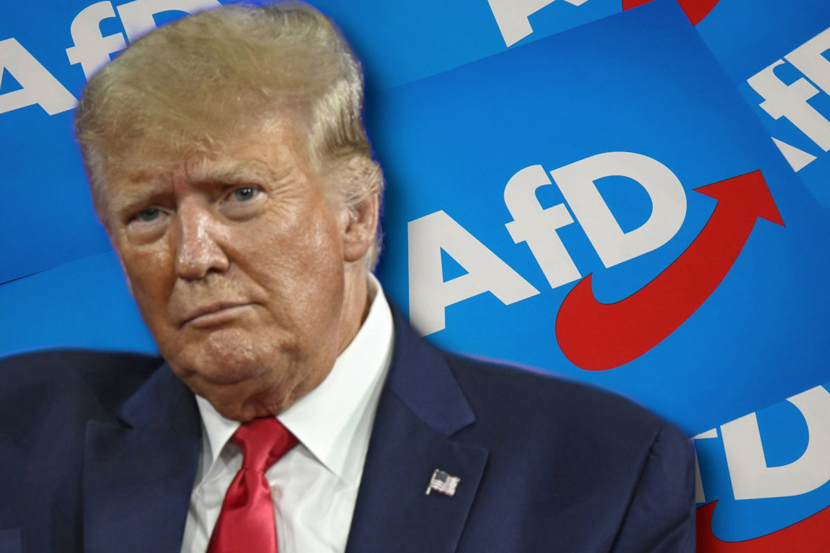 AfD-Wähler pro Trump