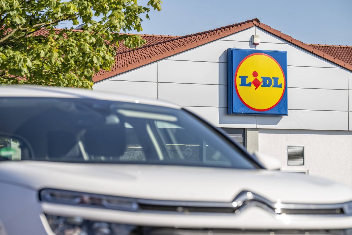 Ein Lidl-Kunde macht einen Ekel-Fund im Käse.