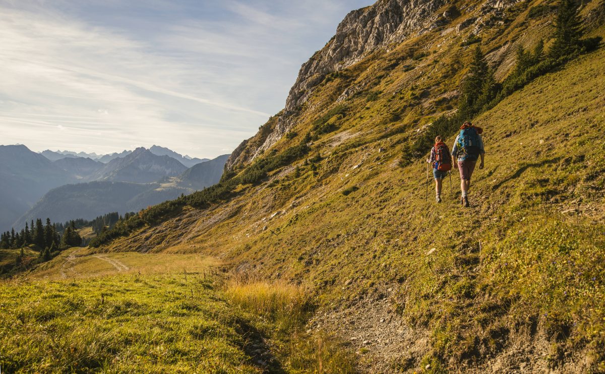 Urlaub in Österreich: Haifischflossensuppe wird künftig Verboten