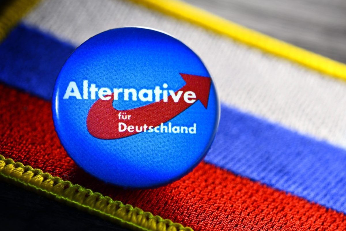 Putin-treu oder patriotisch? Die AfD