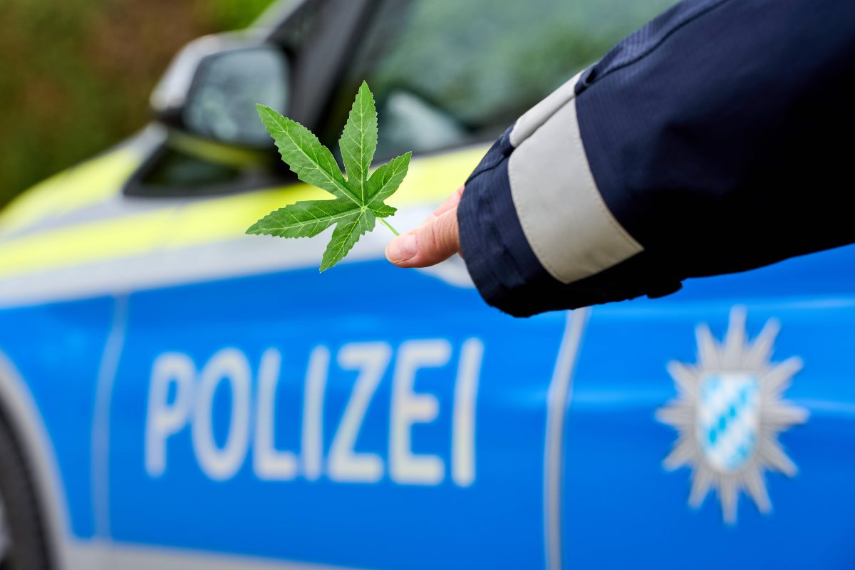 Die neuen Bußgelder für Cannabis können auch für Nicht-Raucher teuer werden.