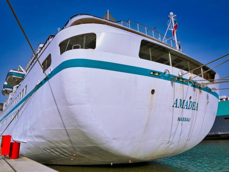 ms amadea