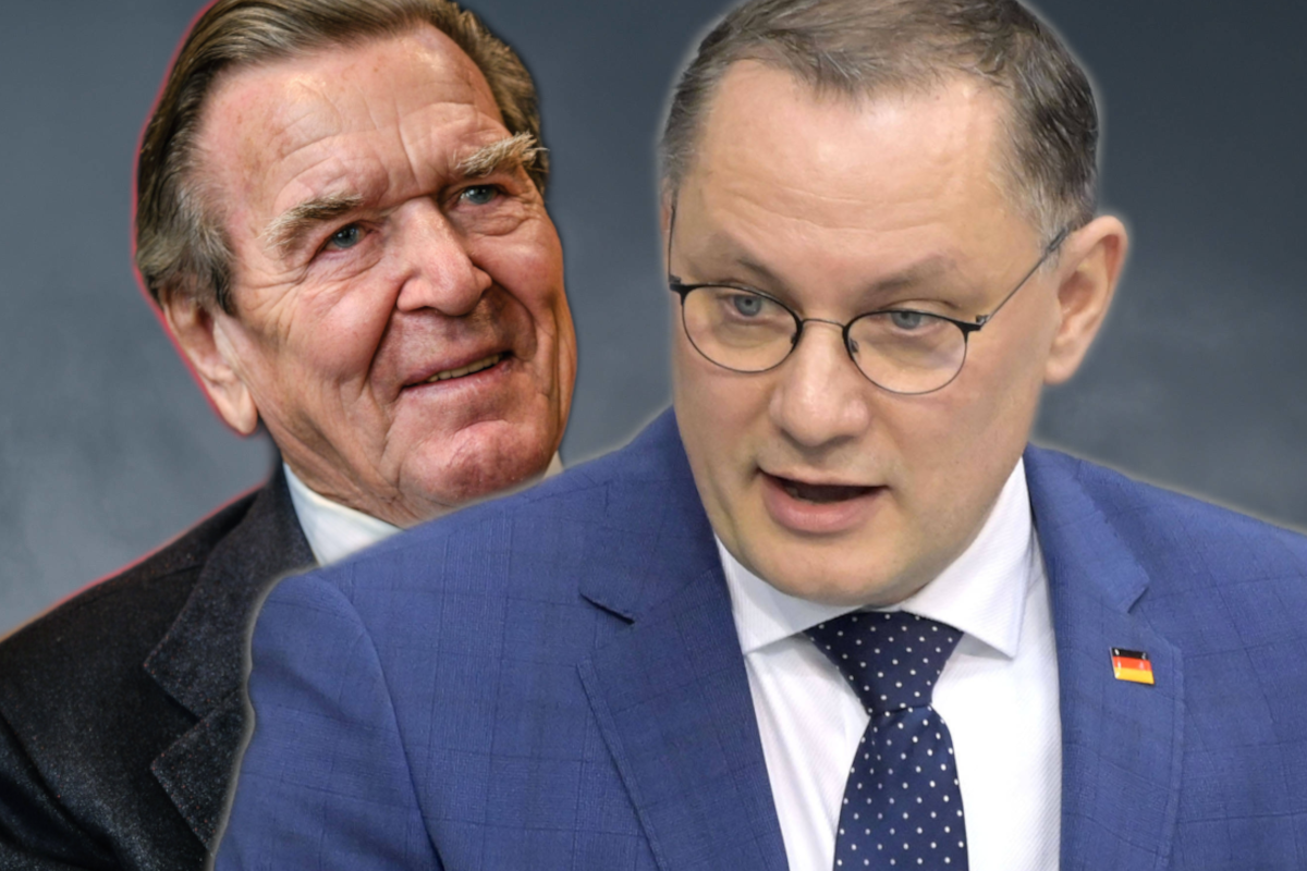 GlÃ¼ckwunsch fÃ¼r Gerhard SchrÃ¶der vom AfD-Chef Chrupalla.