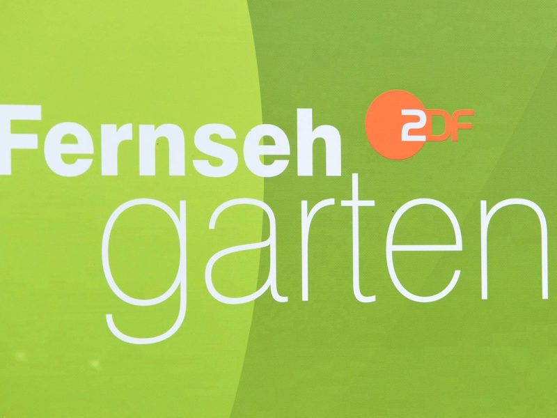 ZDF-„Fernsehgarten“ Gäste: DIESE Stars sind in der Sendung am 22. September 2024 dabei