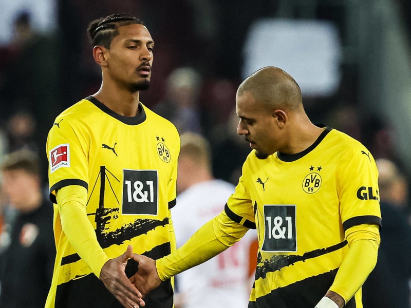 BVB Haller Augsburg