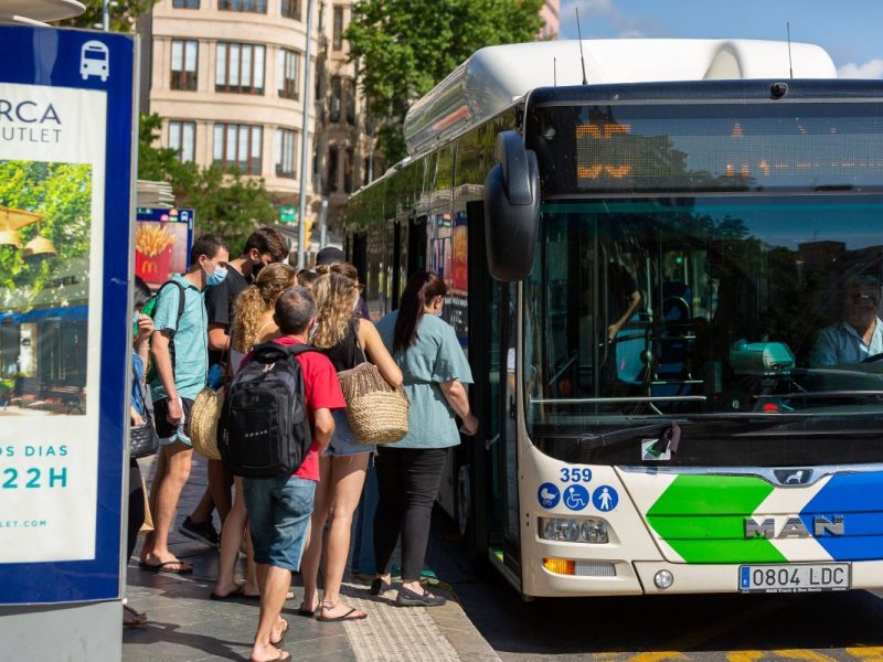 Bus