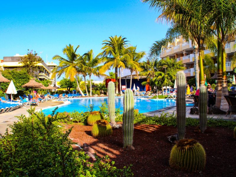 Der Urlaub auf Teneriffa endet für eine Familie mit einer Tragödie am Hotelpool. (Symbolfoto)