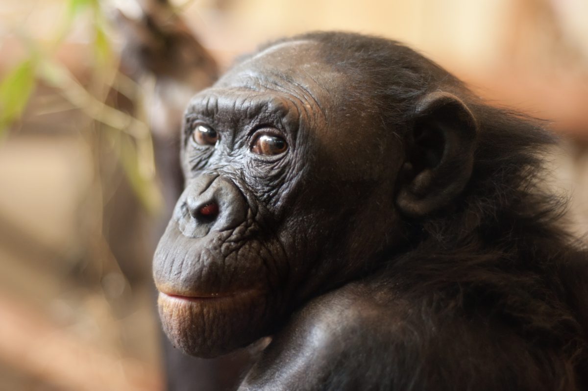 Im Zoo Wuppertal sorgten diese Fotos für viel Diskussion.