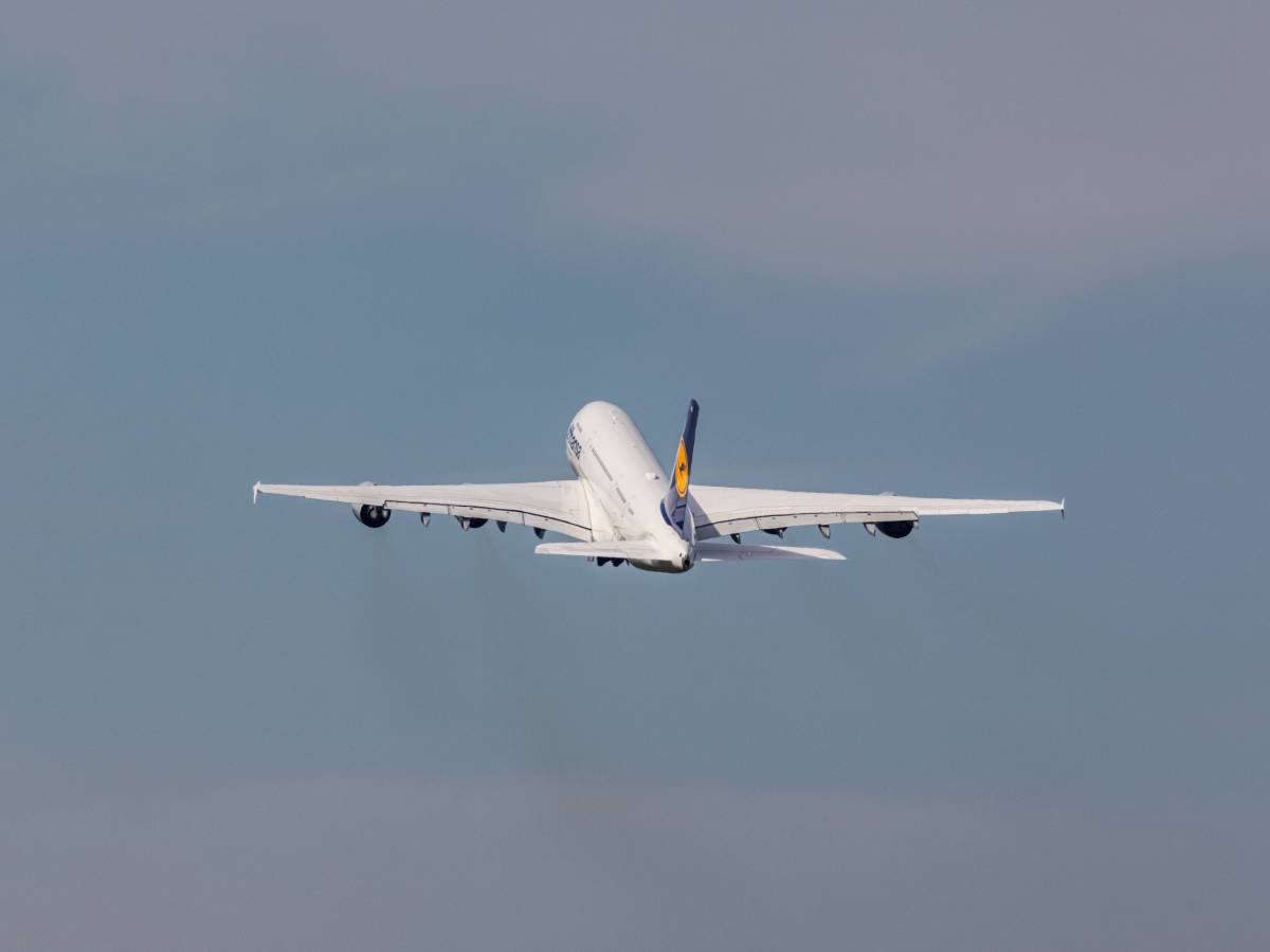 Diese deutschen Airlines befördern jedes Jahr unzählige Passagiere.