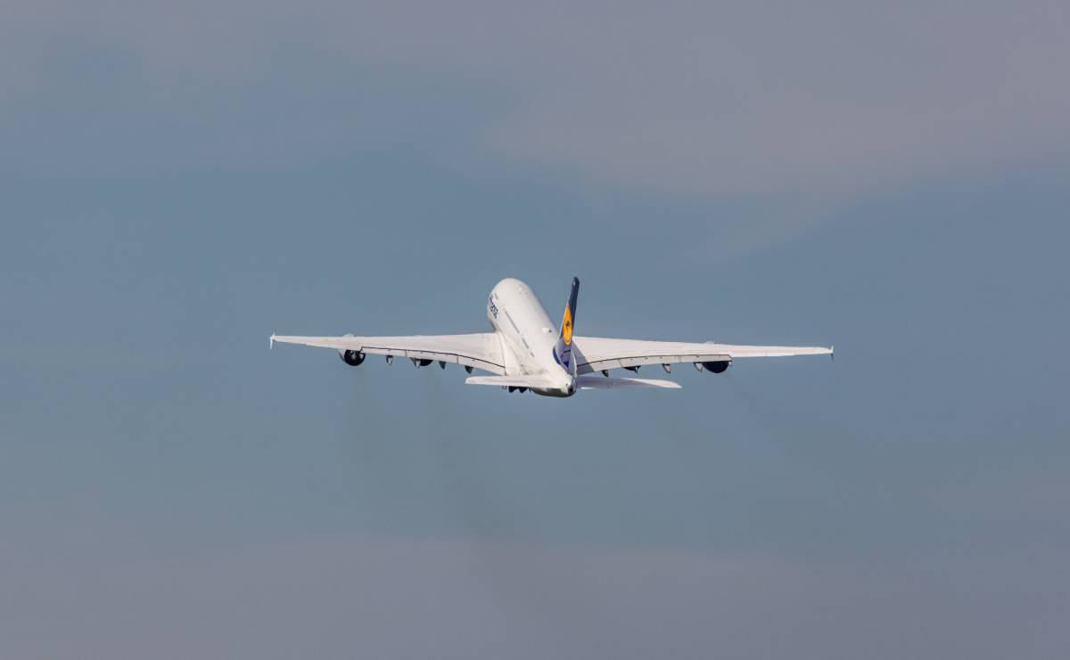 Diese deutschen Airlines befördern jedes Jahr unzählige Passagiere.