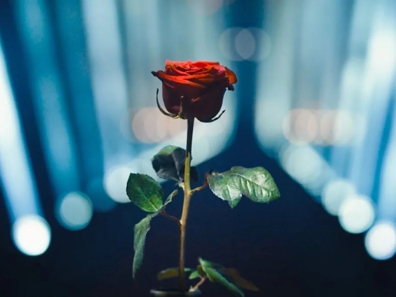 Ein ehemaliger Ukraine-Soldat wird neuer TV-„Bachelor“.