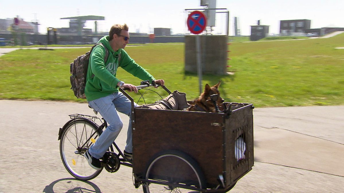 BÃ¼rgergeld
