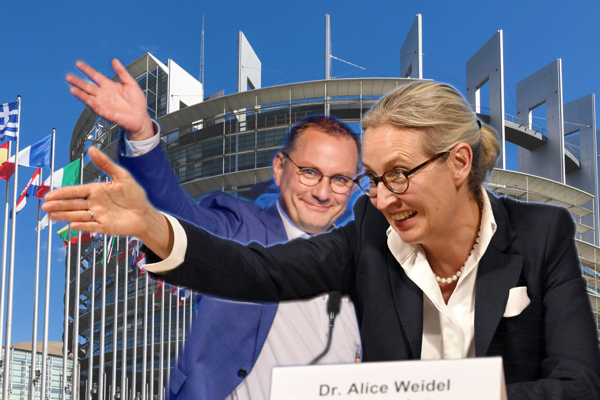 Die AfD steht nach dem ID-Rauswurf ohne BÃ¼ndnispartner da. Doch das kÃ¶nnte sich bald Ã¤ndern.