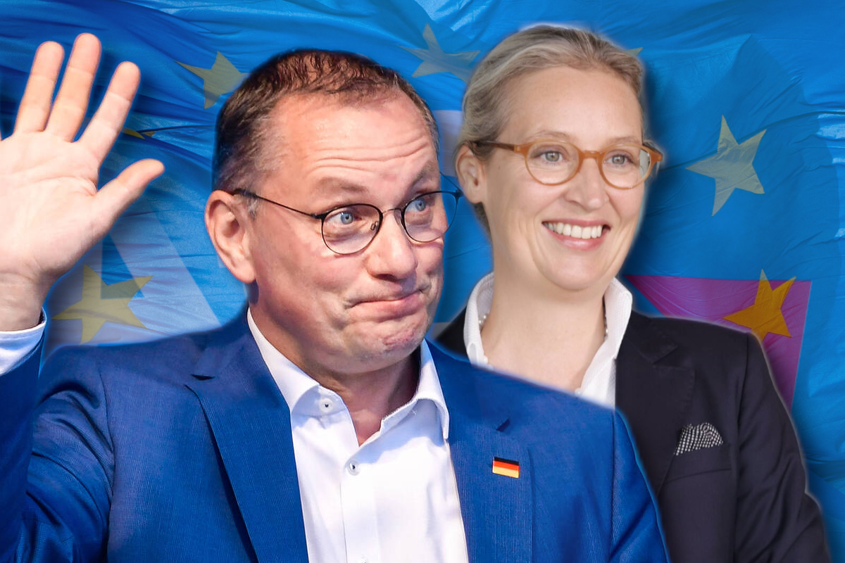 Die AfD erlebt bei der Europawahl kein Debakel - trotz des hinterlassenen Scherbenhaufens.