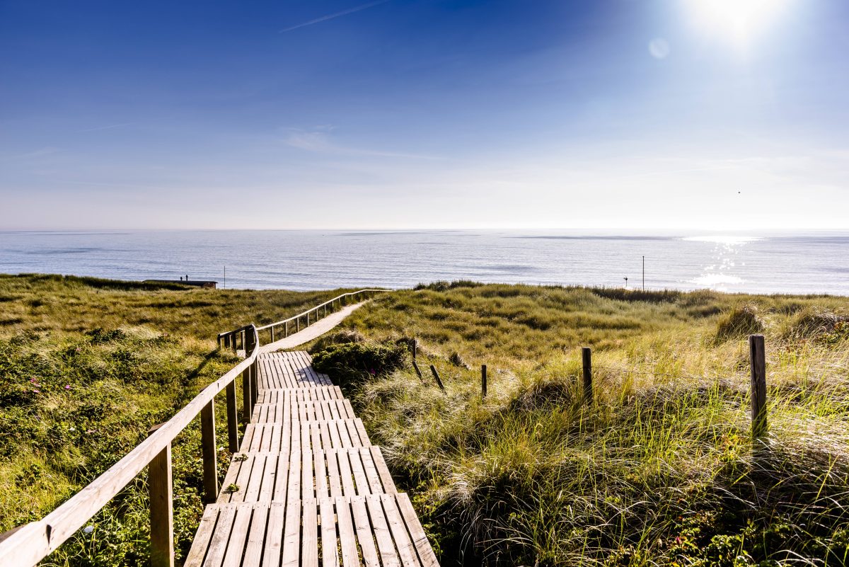 DAS gibt es beim Urlaub an der Nordsee nur selten.