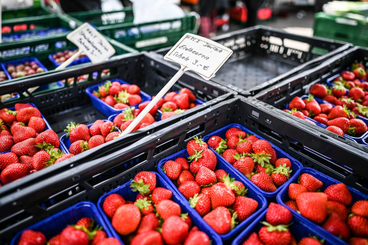 Lidl Erdbeeren