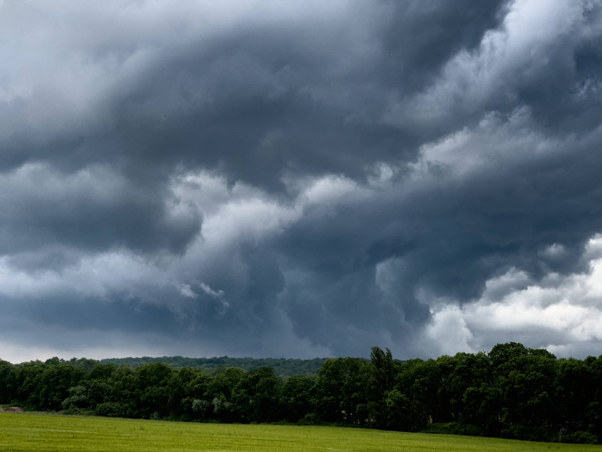 Wetter in NRW: So sieht die Sommer-Prognose 2024 aus.