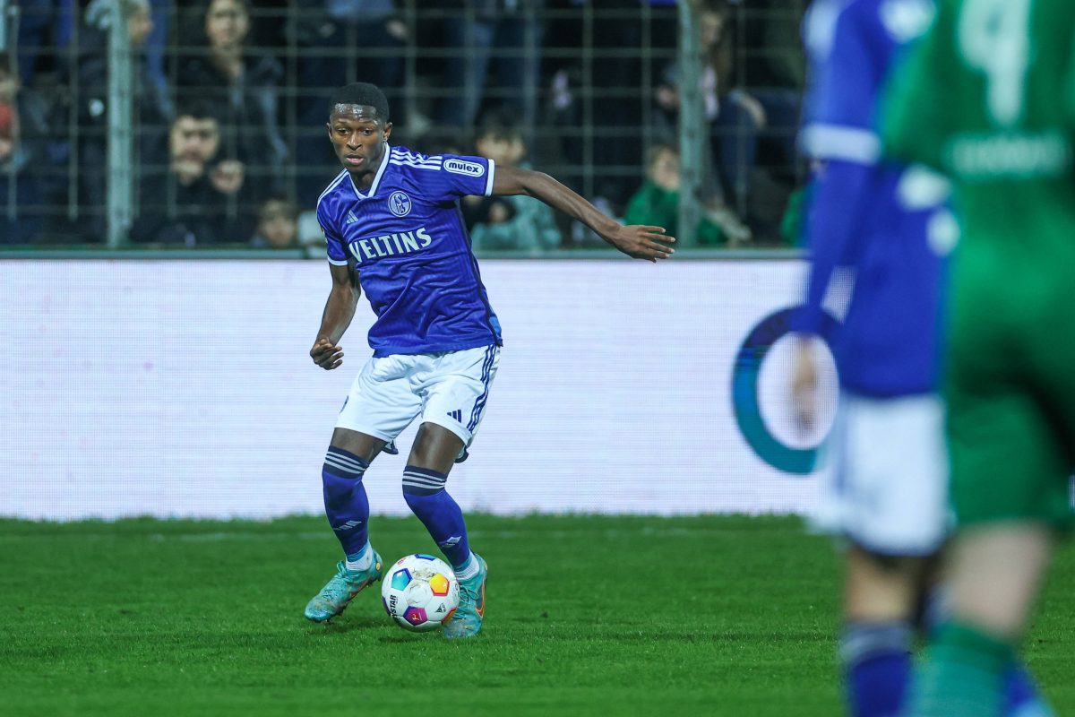 FC Schalke 04: Nelson Amadin