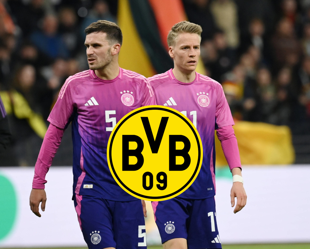 BVB Gross