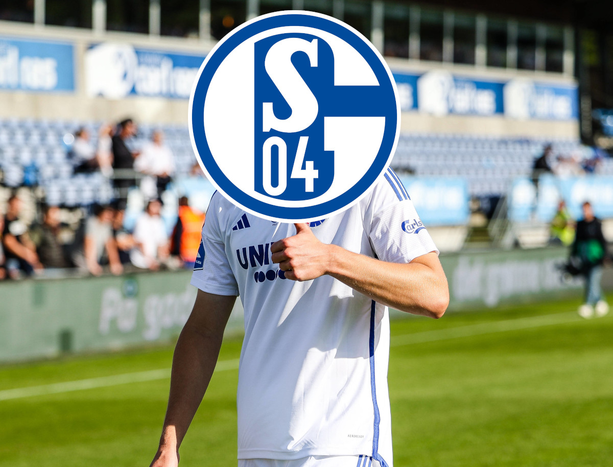 Hojlund Schalke 04