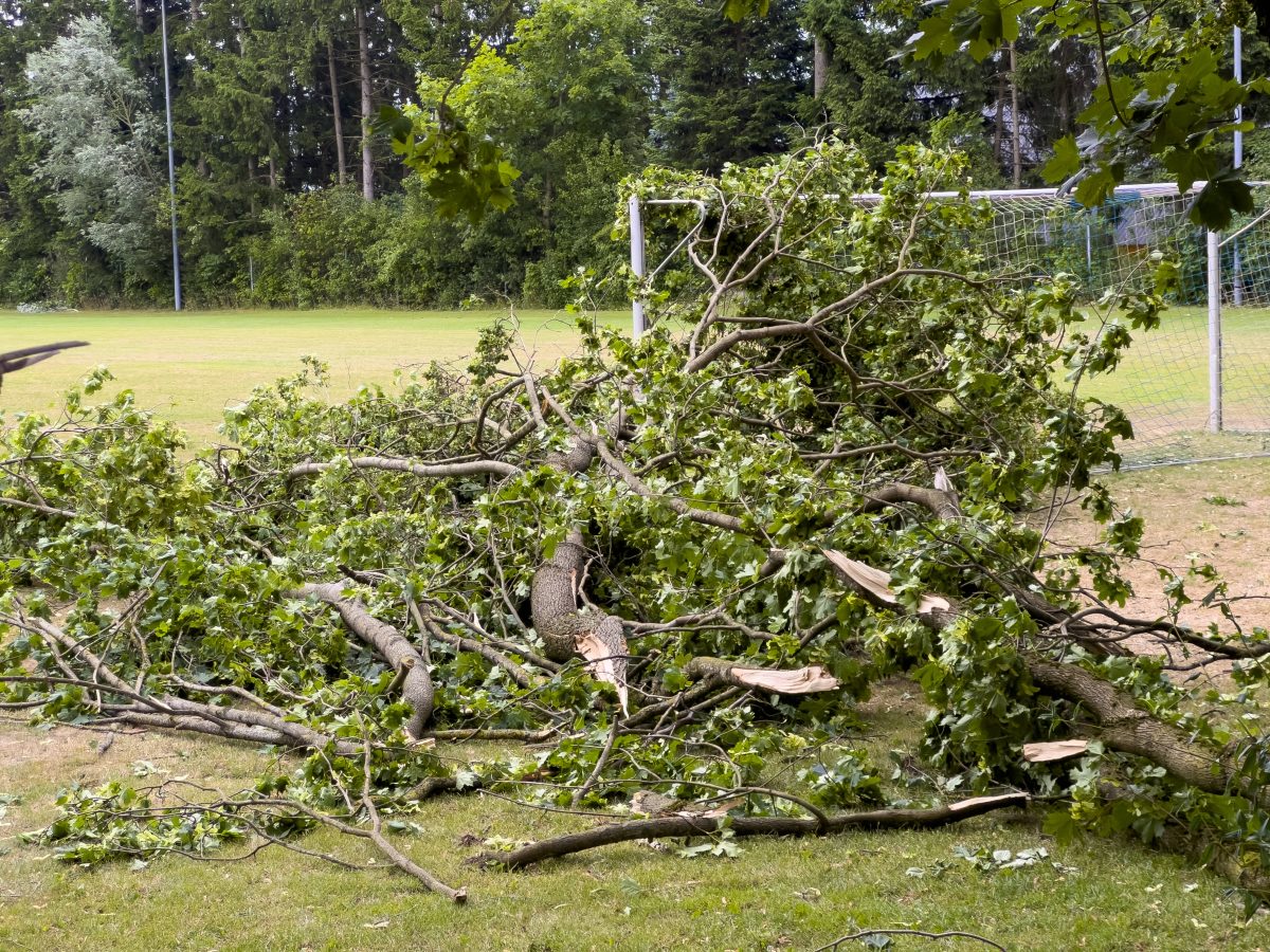 NRW-Tierheim von Sommergewitter verwüstet