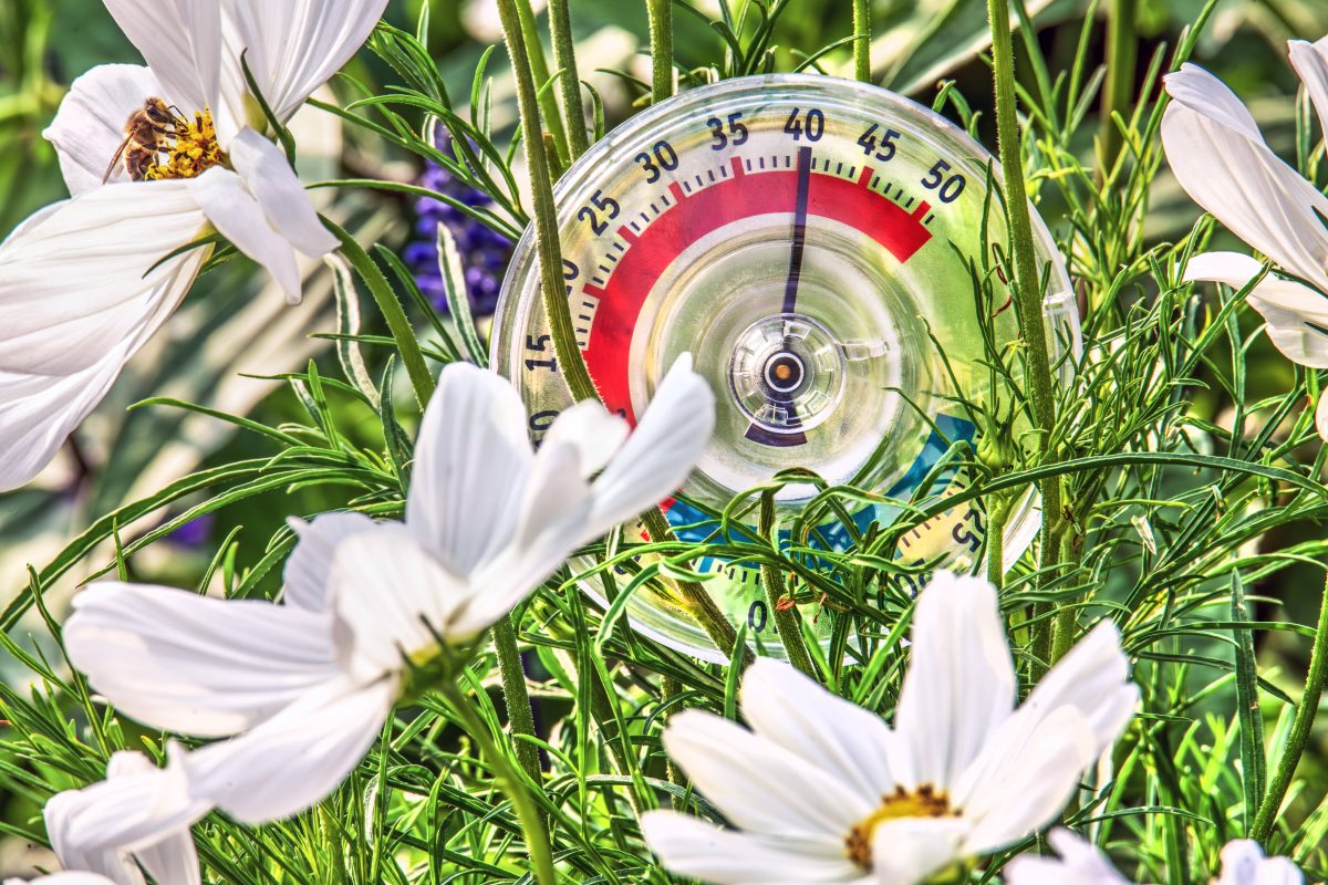 Das Wetter in NRW zeigt sich von der Sommer-Seite!