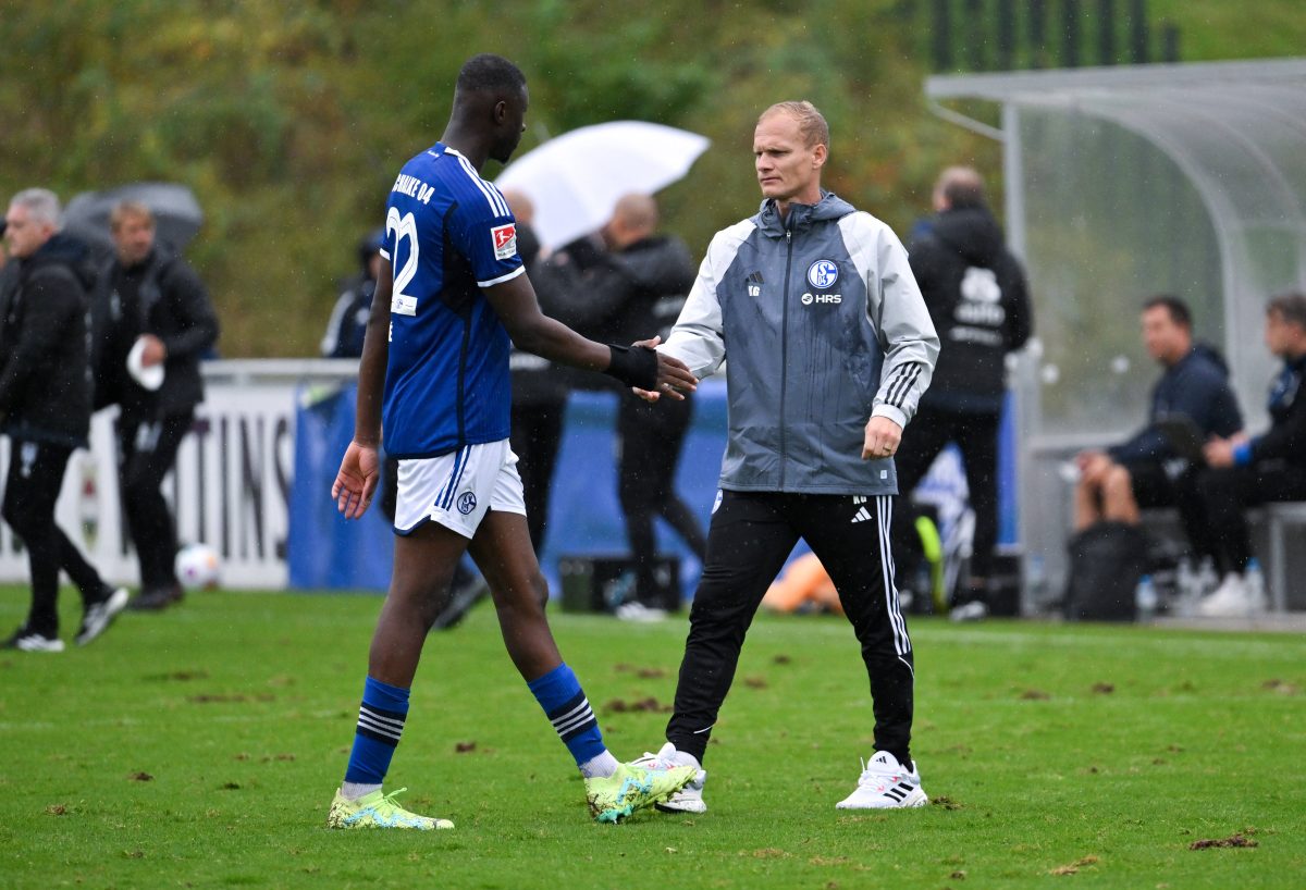 FC Schalke 04: Auch Karel Geraerts hofft auf Cisse.