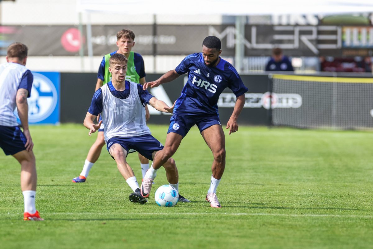 Der FC Schalke 04 hat einige neue Spieler an Board geholt. Ein Neuzugang hat die Fans im Testspiel gegen Kiew besonders beeindruckt.