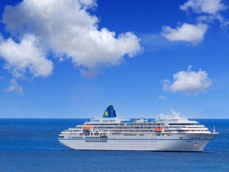 ms amadea