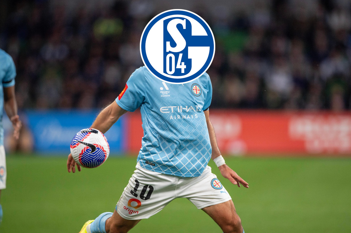 Schalke Arslan