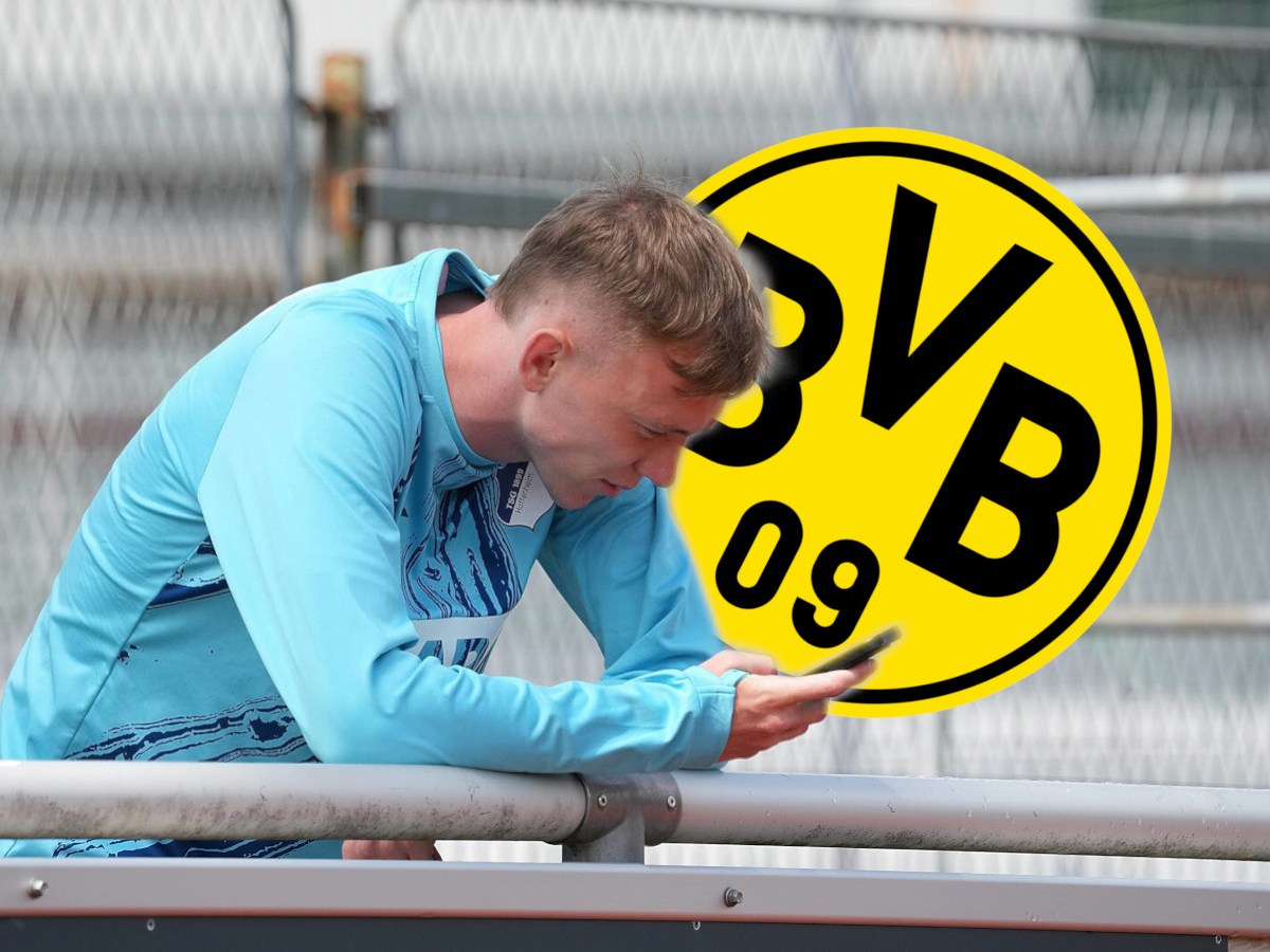 BVB beier