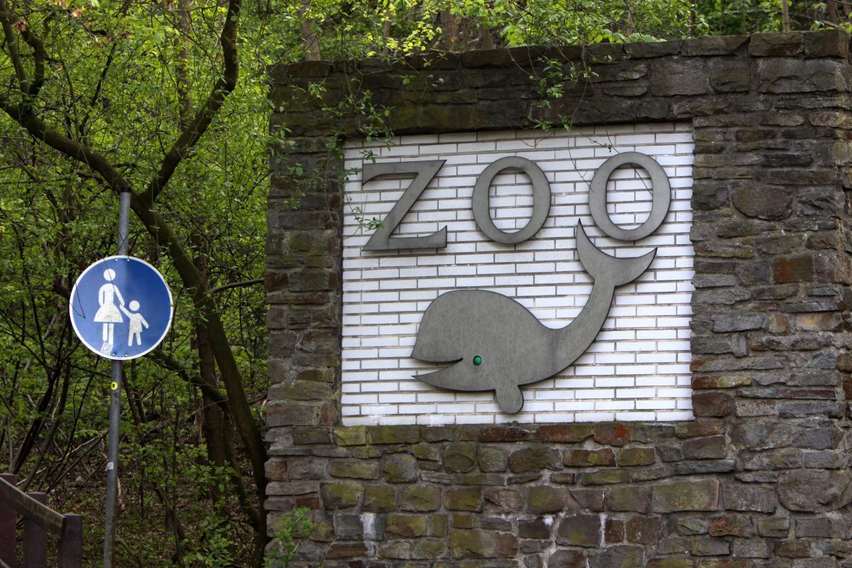 Ungewöhnliche Szenen am Eingang vom Zoo Duisburg