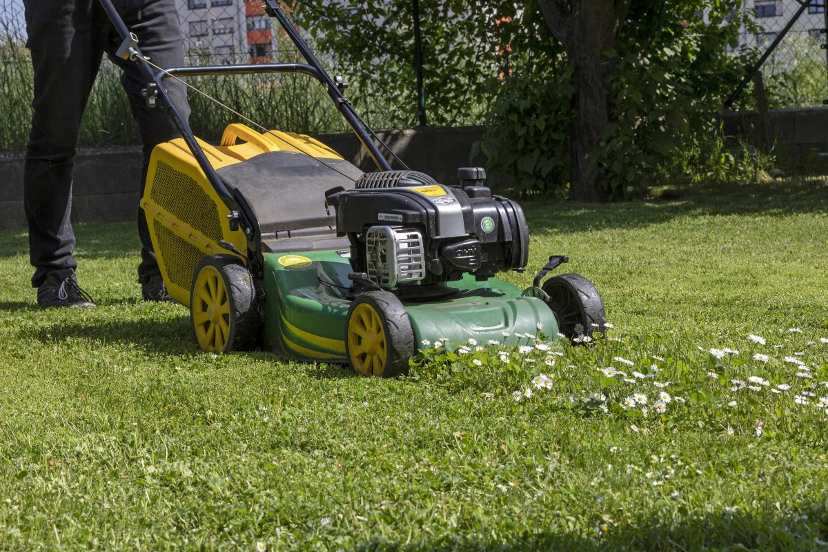 Bußgeld: Diese r Fehler bei der Gartenarbeit kostet Geld