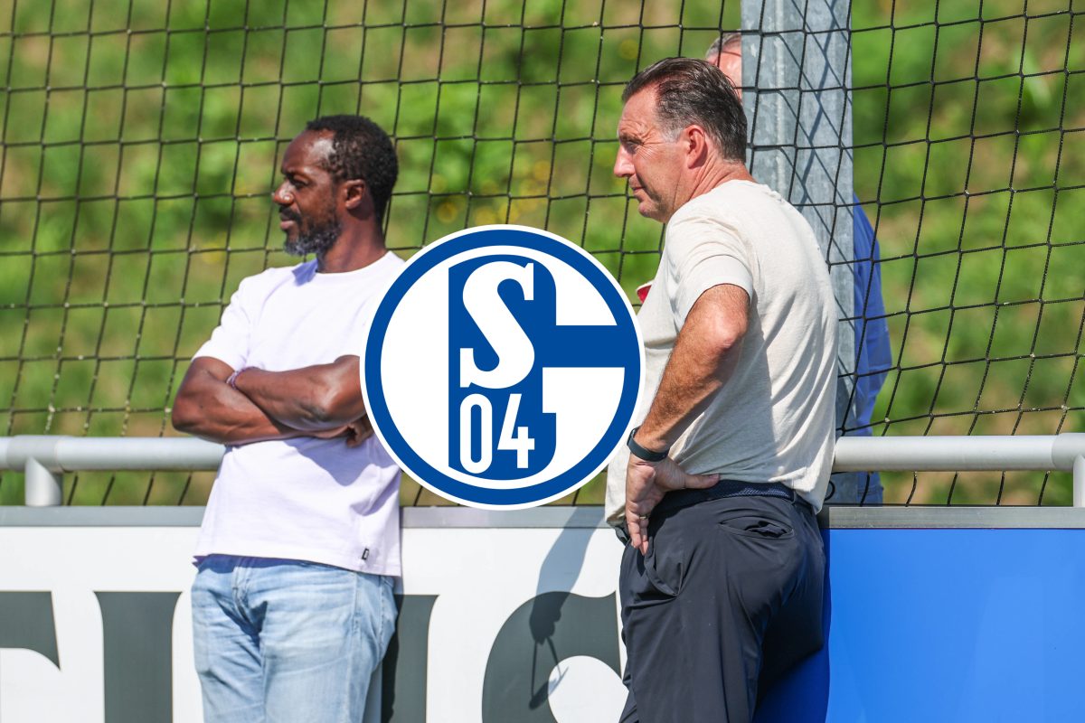 Der FC Schalke 04 hat weitere Statements auf dem Transfermarkt gesetzt! Königsblau konnte neue Transfer-Coups landen.