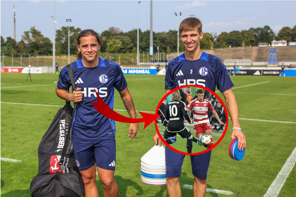 Schalke 04 war in diesem Sommer enorm fleißig und hat so manche Neuzugänge präsentieren können. Und doch bleibt vor allem eine Frage.