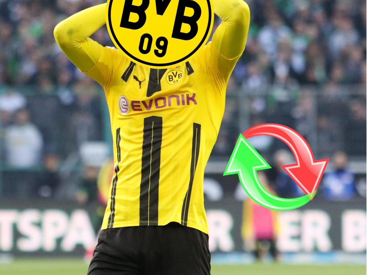 Borussia Dortmund: Mikel Merino