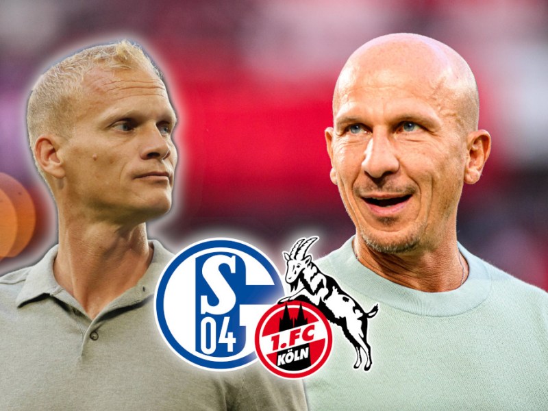 Schalke Koeln