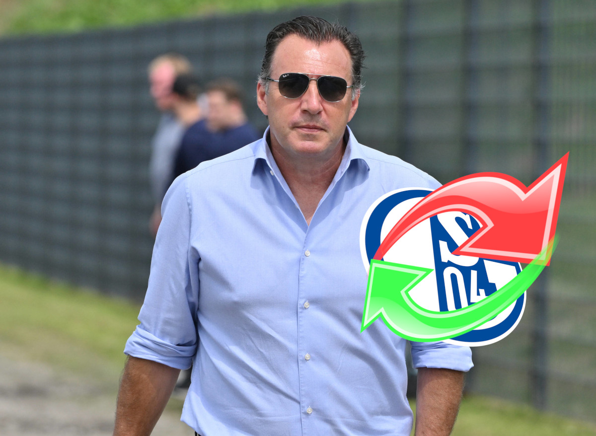 Schalke Wilmots Transfers