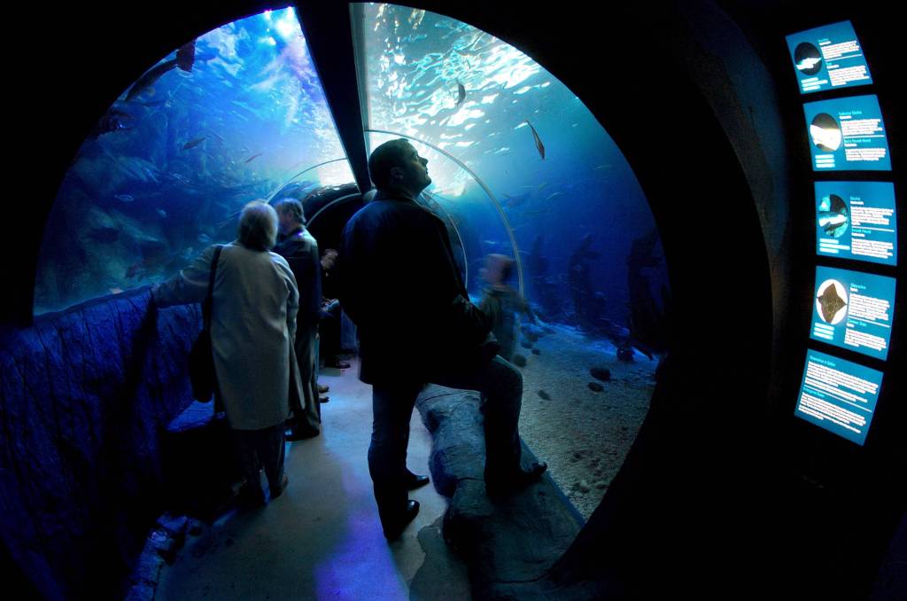 Menschen im Unterwassertunnel