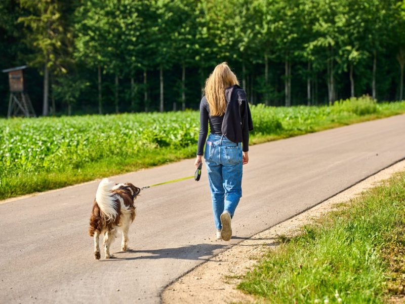 Gelsenkirchen: Spaziergängerin macht Horror-Fund! „Was gibt es für schlimme Menschen?“