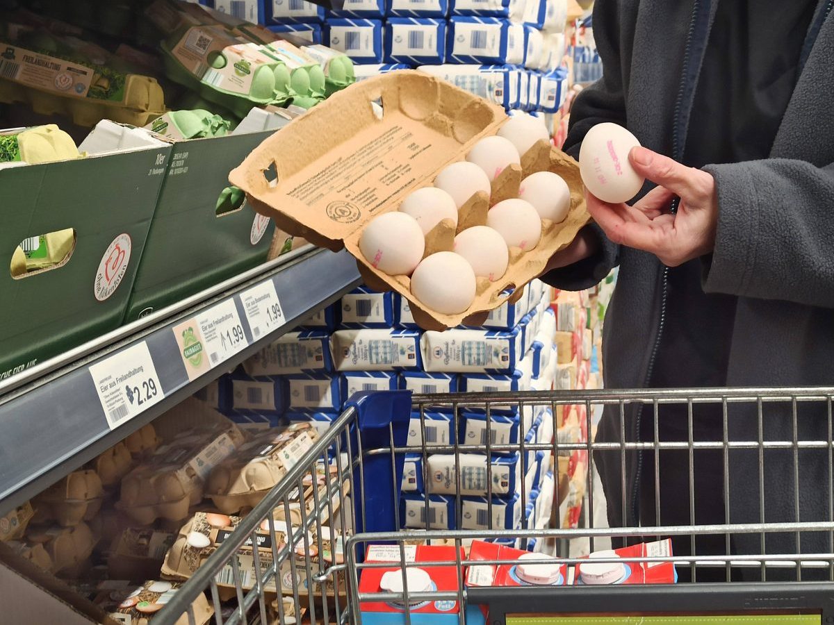 Aldi: Kunde kauft Bio-Eier – als er sie öffnet, fällt er vom Glauben ab