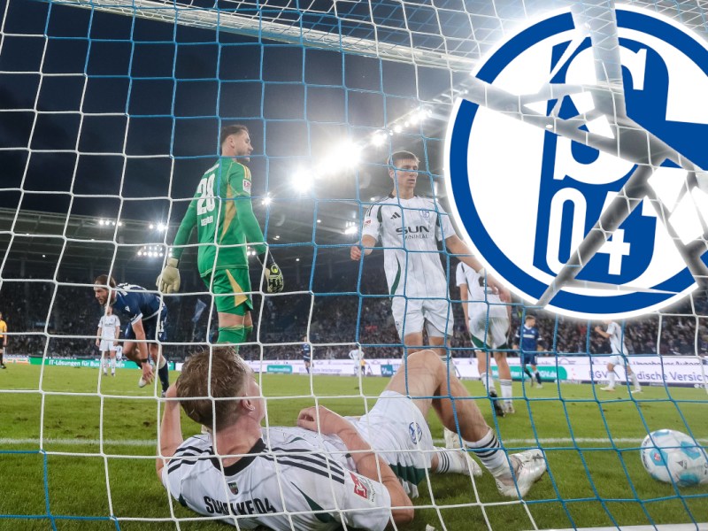 FC Schalke 04: Star legt die Karten auf den Tisch – S04 hat ein dickes Problem