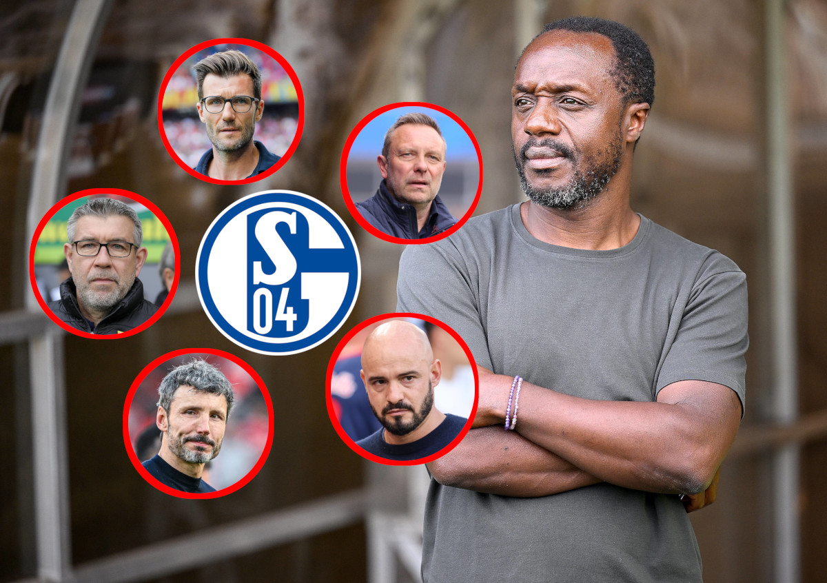 Schalke Trainer