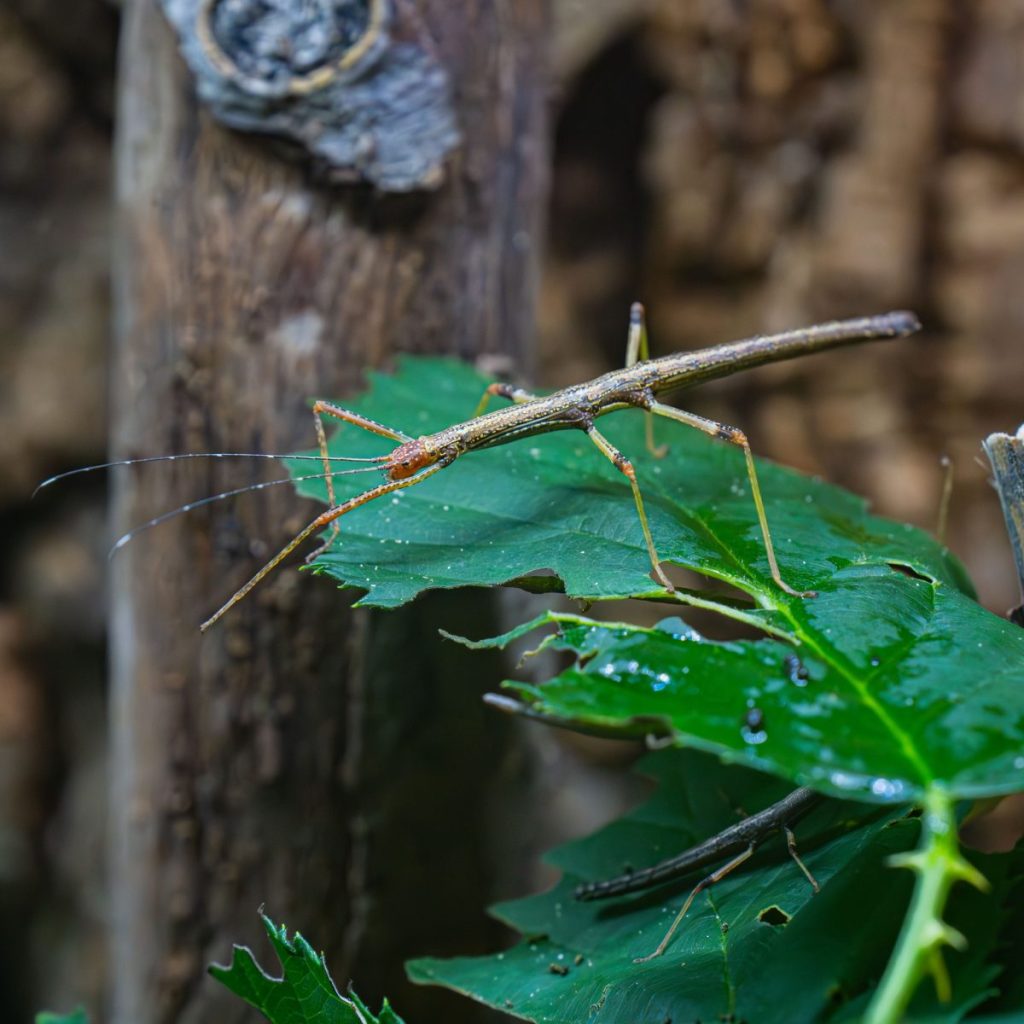 Zoo Dortmund