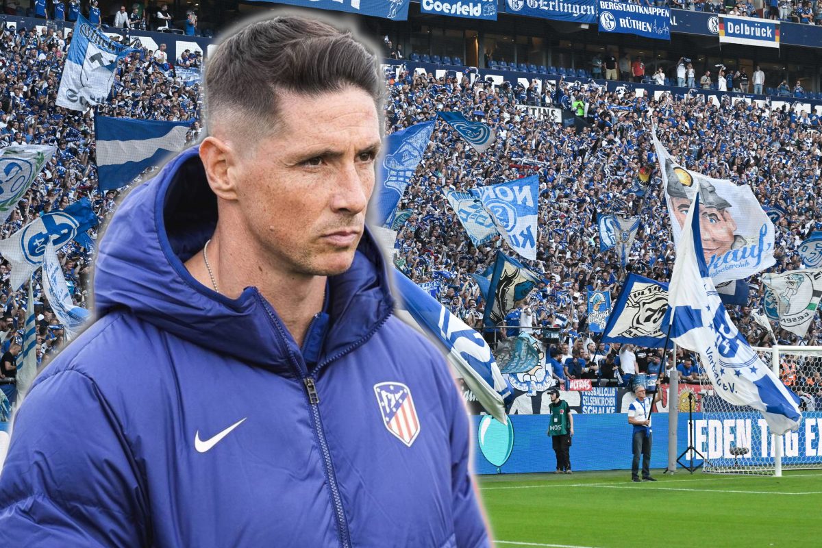 Fernando Torres zum FC Schalke 04?