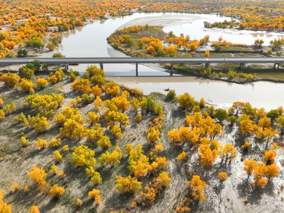 Tarim River Bridge