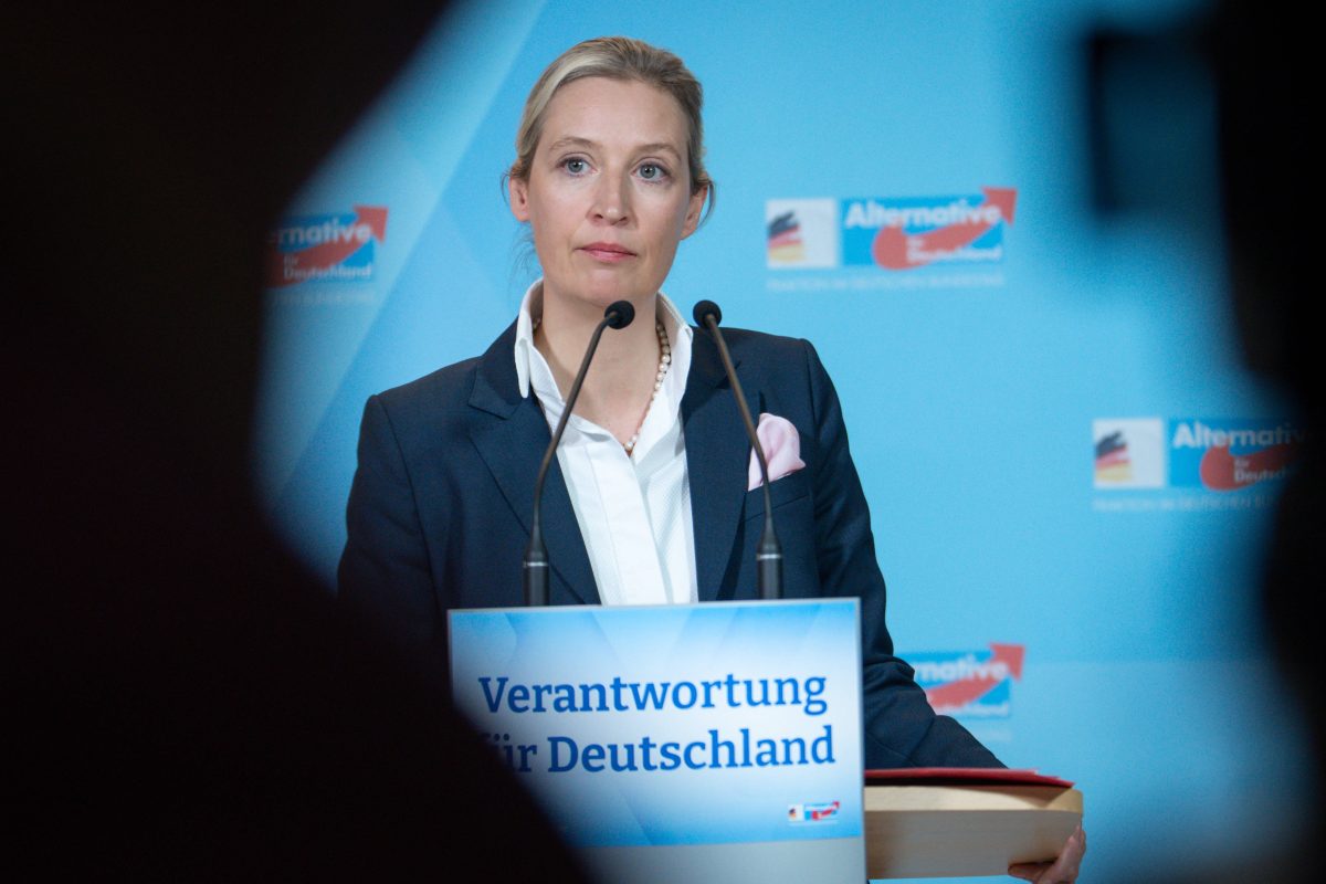 AfD-Verbot: Kommt das Aus für die Partei