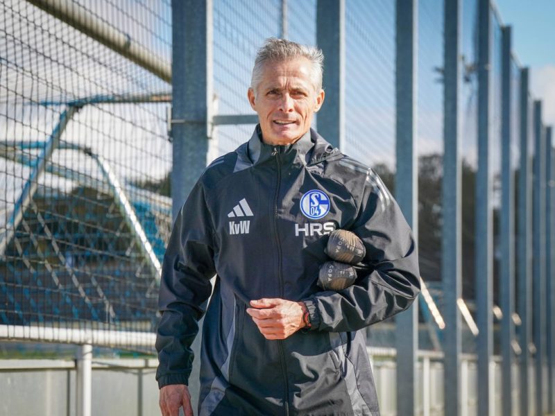 Schalke 04: Manga verrät es – SO überzeugte van Wonderen die S04-Bosse