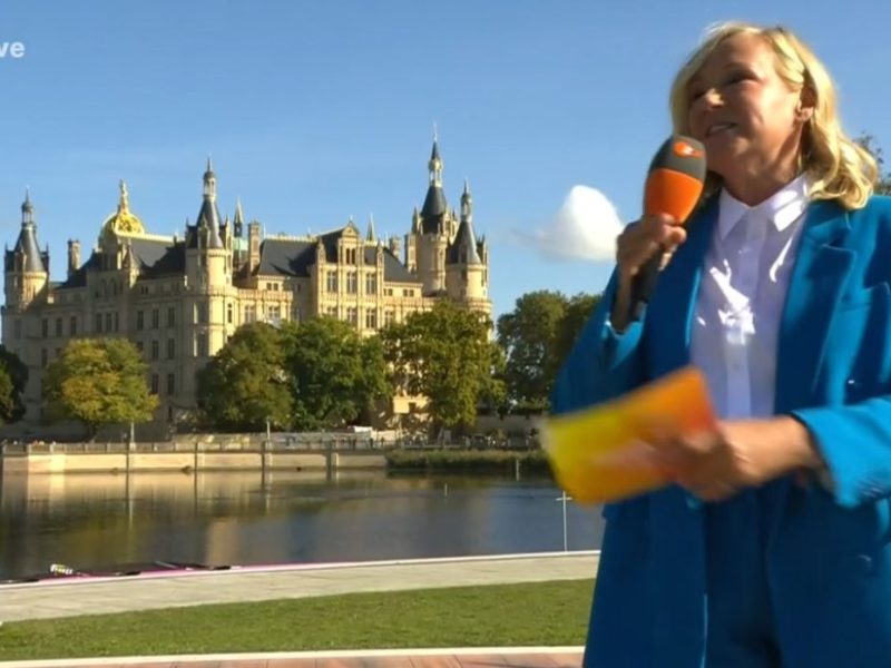 Kiwi Schwerin